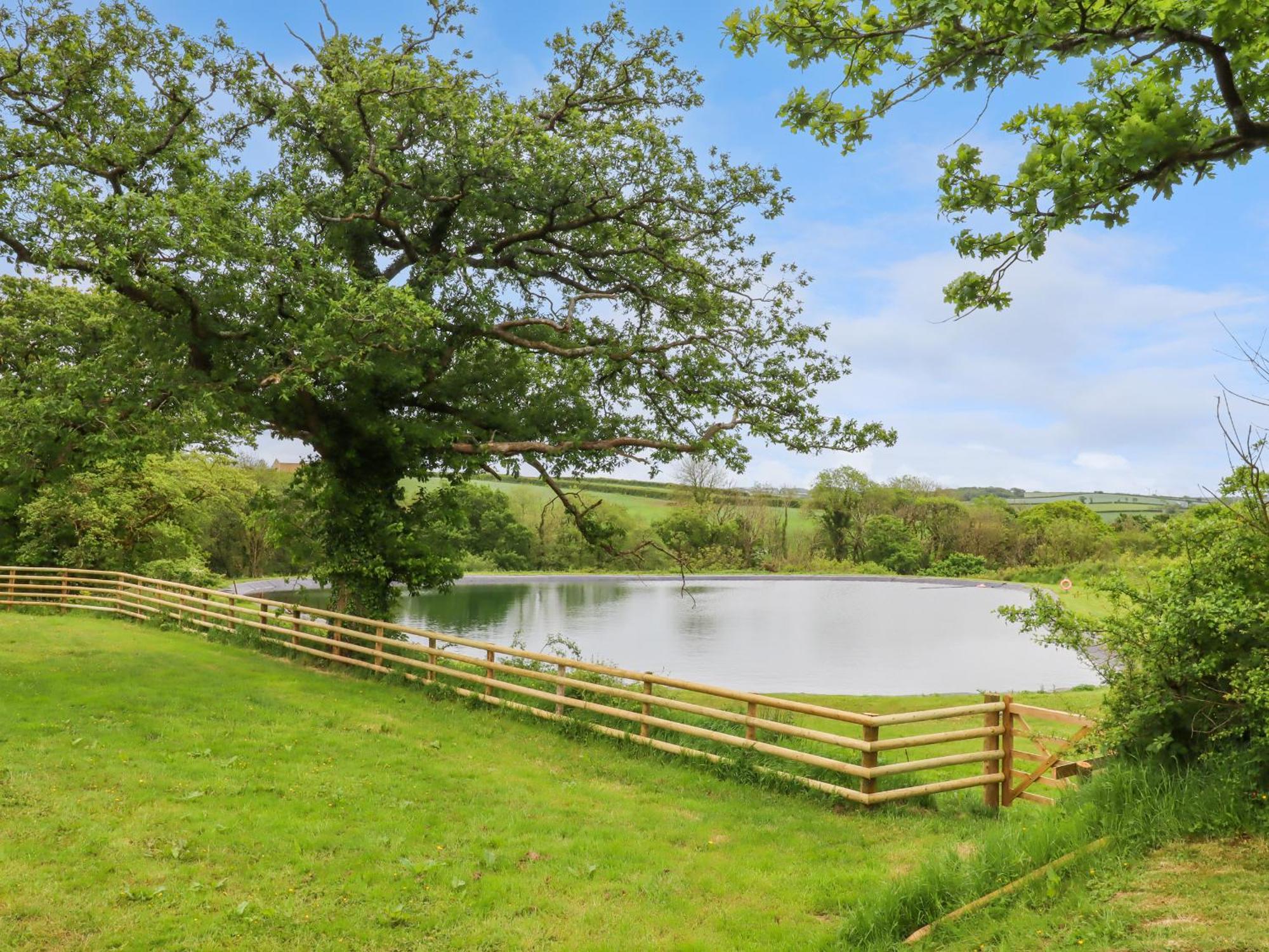 Hole Park Villa Holsworthy Bagian luar foto